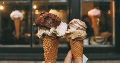 Kam za nejlepšími a nejoriginálnějšími zmrzlinami u nás? 